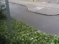 -老陕西面馆(恒茂商业广场店)