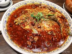 -楊公子民间菜