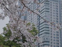 -西北湖绿化广场