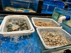 -大铁勺新津菜(熙悦汇店)
