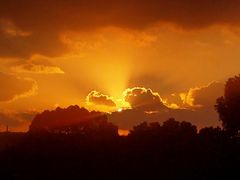 -浦江镇(地铁站)