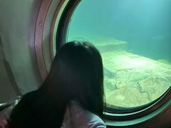 -白鹤梁水下博物馆