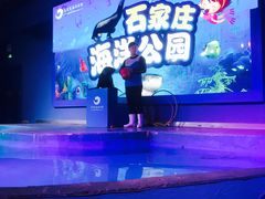 -石家庄海洋公园