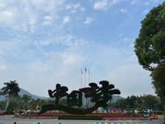 -东南花都花博园