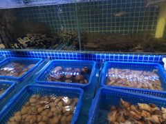 水产区-必点海鲜·鲅鱼水饺(鞍山西道店)