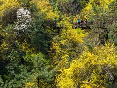-九如山休闲旅游度假区