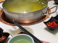 -洪氏嗨捞·猪肚鸡火锅(阳光天地店)