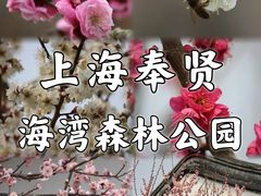 -上海海湾国家森林公园