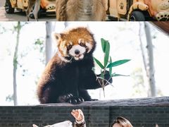 -廊坊固安福朋喜来登酒店