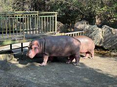 -宁波野生动物园