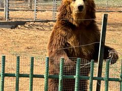 -秦皇岛野生动物园