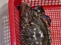 -胖大嫂渔家排档(半边山店)