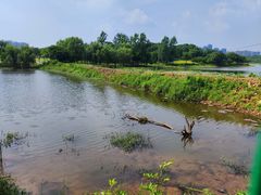 -盘龙城国家考古遗址公园