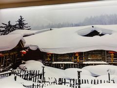 -北大荒人•新东北菜(青岛银座店)