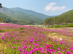 -十万大山布透温泉