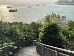 -东澳岛