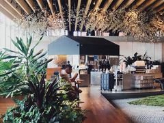 -Seesaw Coffee(朝阳大悦城店)