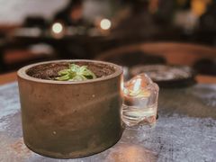 -Apollo·西班牙小酒馆(安福路店)