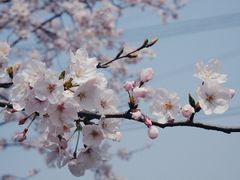-长田漾湿地公园