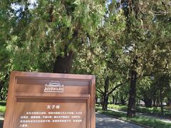 -北京市劳动人民文化宫(太庙)