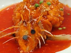 -丁老爷子苏香圆