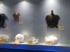 -福州罗源湾海洋世界旅游区