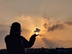 -春花秋色城市公园