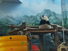 -武汉动物园