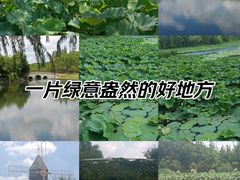 -昆山城市生态森林公园