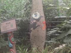 -北京呀路古热带植物园