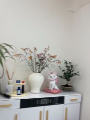 -WENDY·温迪皮肤管理