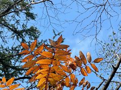 -白草畔自然风景区