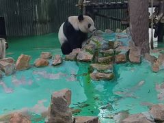 -上海动物园(地铁站)