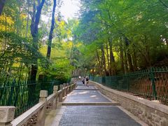 -灵岩山风景区