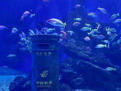 -海合安武汉极地海洋公园