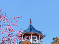 -无锡梅园公园