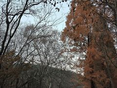 -穆老九清真牛羊肉馆(宋城店)