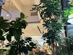 -gaga(深圳南山益田假日广场店)