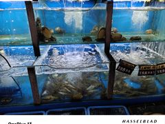 -老东镇啤酒屋海鲜加工·蒸汽海鲜·海鲜烧烤(台东店)