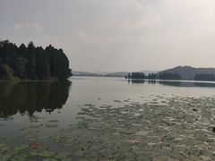 -东湖落雁景区