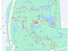 -上海共青森林公园