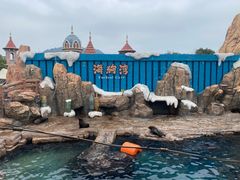 -杭州长乔极地海洋公园