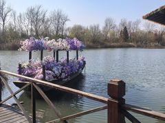 -溱湖国家湿地公园