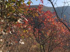 -狼牙山风景区