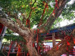 -国恩寺