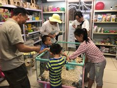 -钓仓鼠(洋桥北里小区店)