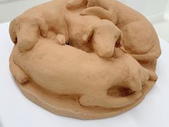 -胶囊画廊