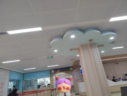 -上海交通大学医学院附属上海儿童医学中心(陆家嘴总院区)