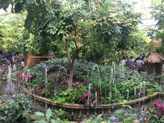 -呀路古热带植物园-恐龙馆