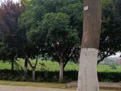 -小八仙·八方(移民广场店)